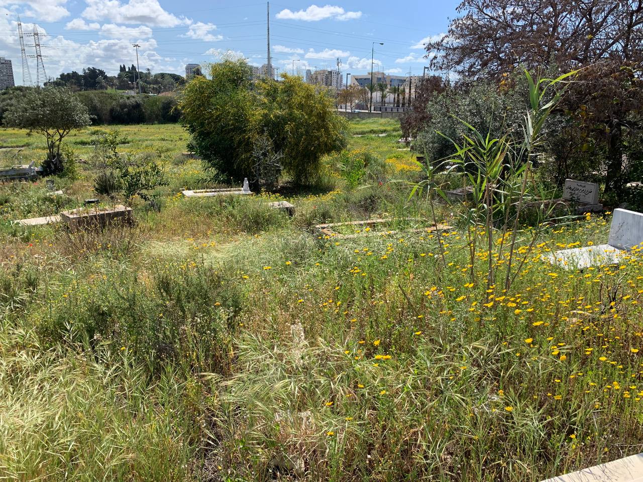 photo1678276195 (3).jpeg